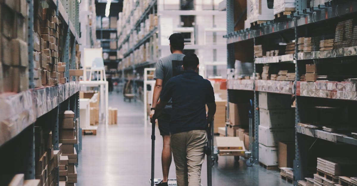 Cover Image for Warehouse Jobs 101: What You Need to Know to Get Hired